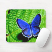 Blauer Schmetterling Mousepad (Mit Mouse)