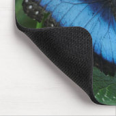 Blauer Schmetterling Mousepad (Ecke)