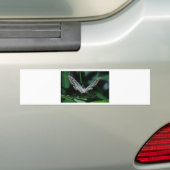 Blauer Schmetterling Nah hoch Autoaufkleber (Auf Auto)