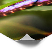 Blauer Schmetterling Natur Nah Poster (Ecke)