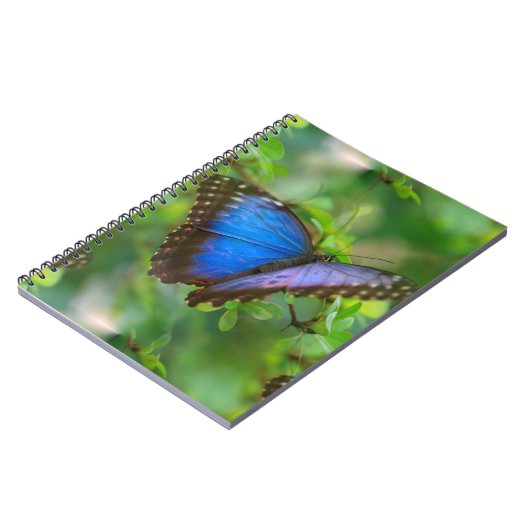 Blauer Schmetterling Notizblock (Linke Seite)