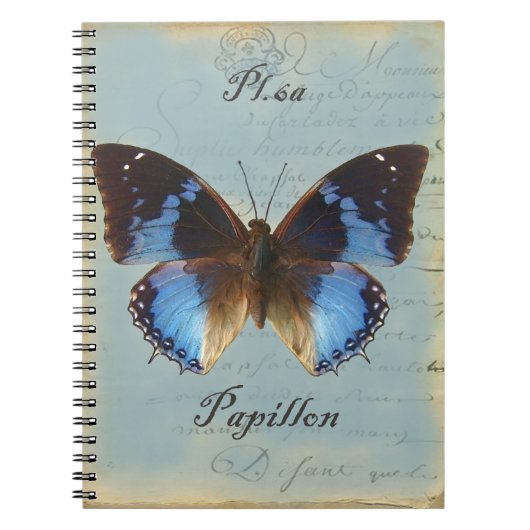 Blauer Schmetterling Notizblock (Vorderseite)