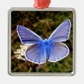 Blauer Schmetterling Ornament Aus Metall (Vorne)