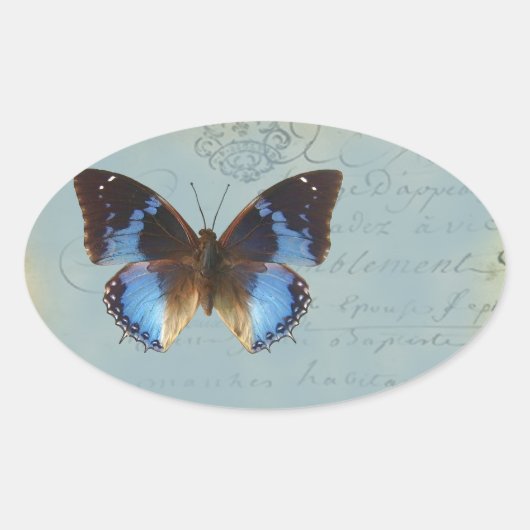 Blauer Schmetterling Ovaler Aufkleber (Vorderseite)