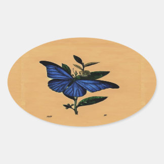 Blauer Schmetterling Ovaler Aufkleber