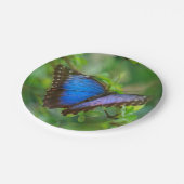 Blauer Schmetterling Pappteller (Schrägansicht)