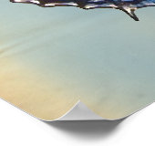 Blauer Schmetterling Poster (Ecke)