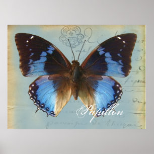 Blauer Schmetterling Poster