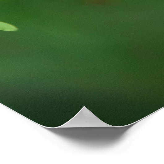 Blauer Schmetterling Poster (Ecke)