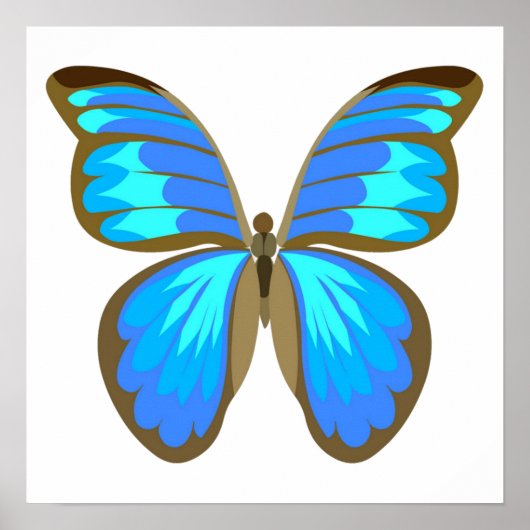 Blauer Schmetterling Poster (Vorne)