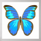 Blauer Schmetterling Poster (Vorne)