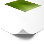 Blauer Schmetterling Poster (Ecke)