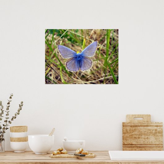 Blauer Schmetterling Poster (Küche)