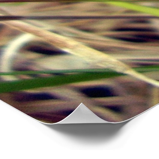 Blauer Schmetterling Poster (Ecke)