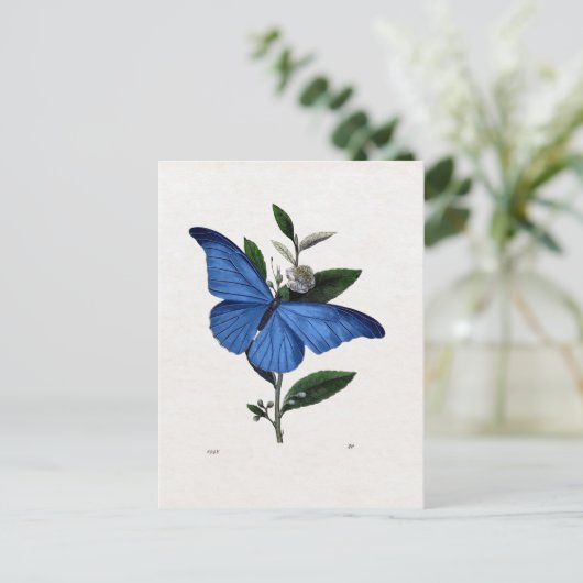 Blauer Schmetterling Postkarte (Stehend Vorderseite)