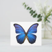 Blauer Schmetterling Postkarte (Stehend Vorderseite)