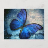 Blauer Schmetterling Postkarte (Vorderseite)