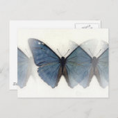 Blauer Schmetterling Postkarte (Vorne/Hinten)