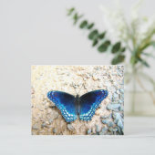 Blauer Schmetterling Postkarte (Stehend Vorderseite)
