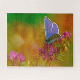 Blauer Schmetterling. Puzzle