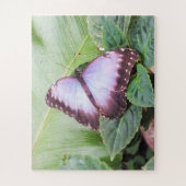 Blauer Schmetterling Puzzle (Vertikal)
