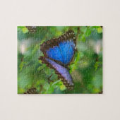 Blauer Schmetterling Puzzle (Horizontal)