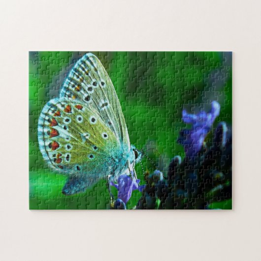 Blauer Schmetterling. Puzzle (Horizontal)