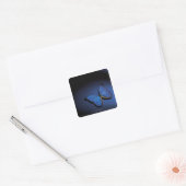 Blauer Schmetterling Quadratischer Aufkleber (Umschlag)