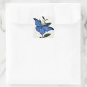 Blauer Schmetterling Quadratischer Aufkleber (Tasche)