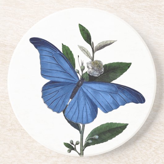 Blauer Schmetterling Sandstein Untersetzer (Vorne)