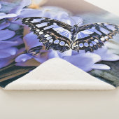 Blauer Schmetterling Sherpadecke (3/4)