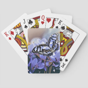 Blauer Schmetterling Spielkarten