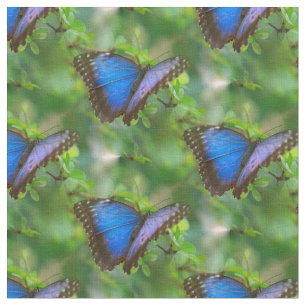 Blauer Schmetterling Stoff