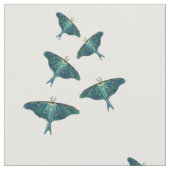 Blauer Schmetterling Stoff (Nahaufnahme)
