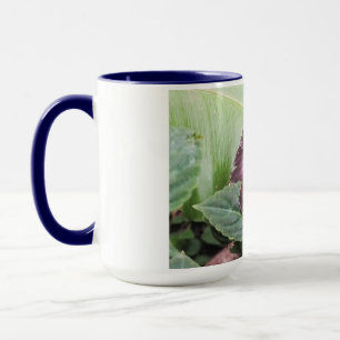 Blauer Schmetterling Tasse