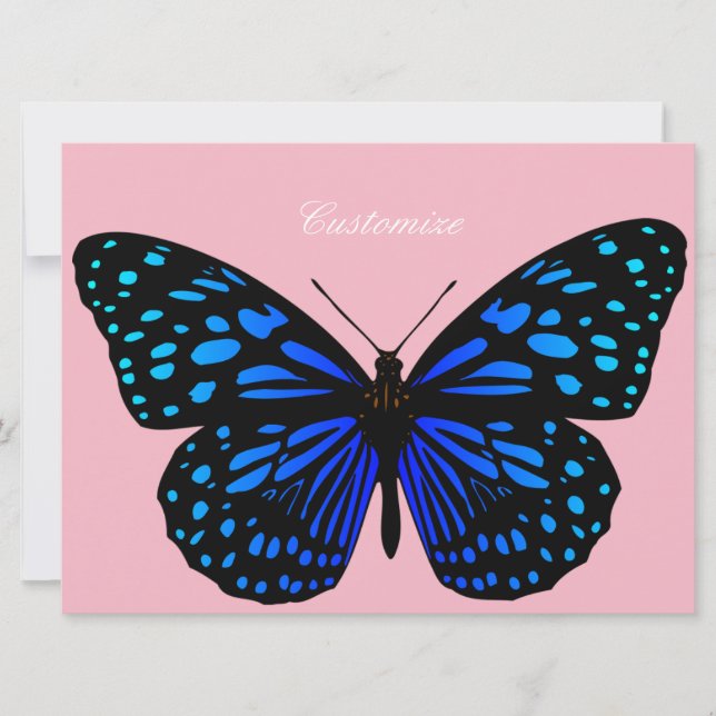 Blauer Schmetterling Thunder_Cove (Vorderseite)