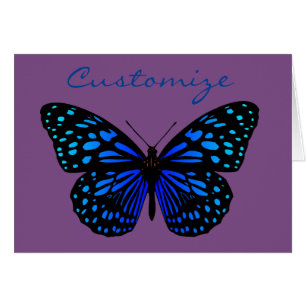 Blauer Schmetterling Thunder_Cove