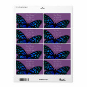 Blauer Schmetterling Thunder_Cove (Vorne)