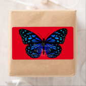Blauer Schmetterling Thunder_Cove (Insitu)