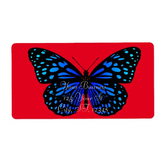 Blauer Schmetterling Thunder_Cove (Vorne)