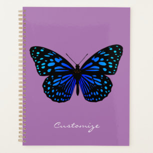 Blauer Schmetterling Thunder_Cove Planer