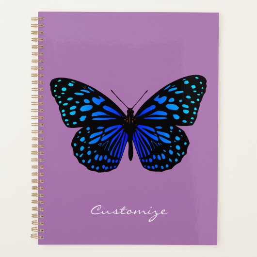 Blauer Schmetterling Thunder_Cove Planer (Vorderseite)