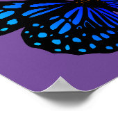 Blauer Schmetterling Thunder_Cove Poster (Ecke)