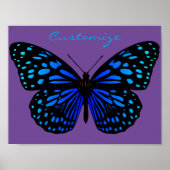 Blauer Schmetterling Thunder_Cove Poster (Vorne)