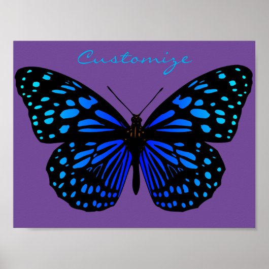 Blauer Schmetterling Thunder_Cove Poster (Vorne)