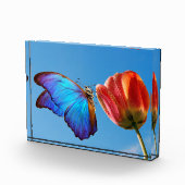Blauer Schmetterling und Roter Tulip Fotoblock (Rechts)