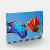 Blauer Schmetterling und Roter Tulip Fotoblock (Links)