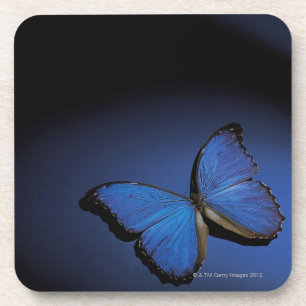 Blauer Schmetterling Untersetzer