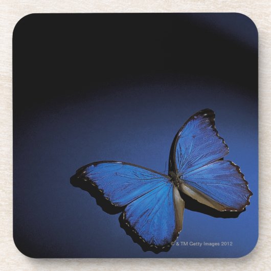 Blauer Schmetterling Untersetzer (Vorderseite)