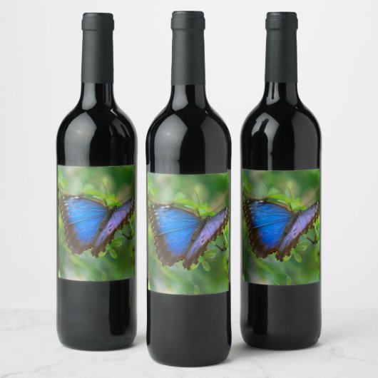 Blauer Schmetterling Weinetikett (Flaschen)